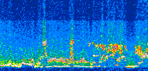 /calipso-imagery/data/BROWSE/production/V5-00/2013-07-04/2013-07-04_10-27-32_V5.00_3_thmb.png image missing
