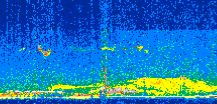 /calipso-imagery/data/BROWSE/production/V5-00/2013-07-04/2013-07-04_13-45-17_V5.00_2_thmb.png image missing