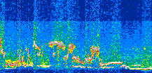 /calipso-imagery/data/BROWSE/production/V5-00/2013-07-06/2013-07-06_05-18-27_V5.00_3_thmb.png image missing