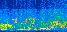/calipso-imagery/data/BROWSE/production/V5-00/2013-07-06/2013-07-06_13-32-48_V5.00_3_thmb.png image missing
