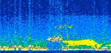 /calipso-imagery/data/BROWSE/production/V5-00/2013-07-06/2013-07-06_15-11-44_V5.00_2_thmb.png image missing