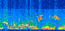 /calipso-imagery/data/BROWSE/production/V5-00/2013-07-06/2013-07-06_18-29-29_V5.00_2_thmb.png image missing