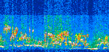 /calipso-imagery/data/BROWSE/production/V5-00/2013-07-06/2013-07-06_20-08-19_V5.00_3_thmb.png image missing