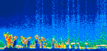 /calipso-imagery/data/BROWSE/production/V5-00/2013-07-07/2013-07-07_02-43-55_V5.00_1_thmb.png image missing