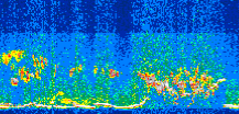 /calipso-imagery/data/BROWSE/production/V5-00/2013-07-07/2013-07-07_02-43-55_V5.00_3_thmb.png image missing