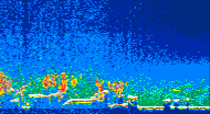 /calipso-imagery/data/BROWSE/production/V5-00/2013-07-07/2013-07-07_07-40-31_V5.00_4_thmb.png image missing