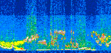 /calipso-imagery/data/BROWSE/production/V5-00/2013-07-07/2013-07-07_09-19-26_V5.00_3_thmb.png image missing