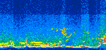 /calipso-imagery/data/BROWSE/production/V5-00/2013-07-07/2013-07-07_12-37-11_V5.00_3_thmb.png image missing