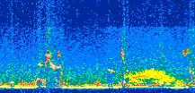 /calipso-imagery/data/BROWSE/production/V5-00/2013-07-07/2013-07-07_15-54-57_V5.00_2_thmb.png image missing