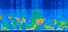 /calipso-imagery/data/BROWSE/production/V5-00/2013-07-07/2013-07-07_19-12-42_V5.00_3_thmb.png image missing