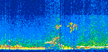/calipso-imagery/data/BROWSE/production/V5-00/2013-07-07/2013-07-07_22-30-28_V5.00_2_thmb.png image missing