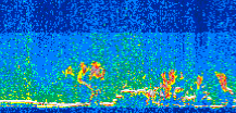 /calipso-imagery/data/BROWSE/production/V5-00/2013-07-07/2013-07-07_22-30-28_V5.00_3_thmb.png image missing