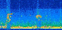 /calipso-imagery/data/BROWSE/production/V5-00/2013-07-08/2013-07-08_00-09-23_V5.00_2_thmb.png image missing