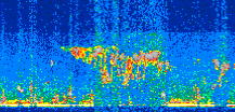 /calipso-imagery/data/BROWSE/production/V5-00/2013-07-08/2013-07-08_01-48-13_V5.00_2_thmb.png image missing