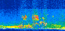 /calipso-imagery/data/BROWSE/production/V5-00/2013-07-08/2013-07-08_11-41-29_V5.00_2_thmb.png image missing
