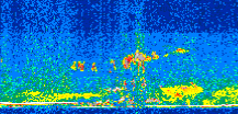 /calipso-imagery/data/BROWSE/production/V5-00/2013-07-08/2013-07-08_13-20-25_V5.00_2_thmb.png image missing
