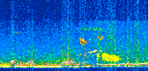 /calipso-imagery/data/BROWSE/production/V5-00/2013-07-08/2013-07-08_14-59-15_V5.00_2_thmb.png image missing