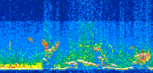 /calipso-imagery/data/BROWSE/production/V5-00/2013-07-08/2013-07-08_16-38-10_V5.00_3_thmb.png image missing