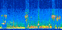 /calipso-imagery/data/BROWSE/production/V5-00/2013-07-11/2013-07-11_00-40-08_V5.00_2_thmb.png image missing