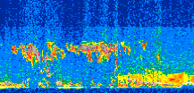 /calipso-imagery/data/BROWSE/production/V5-00/2013-07-11/2013-07-11_08-54-29_V5.00_2_thmb.png image missing