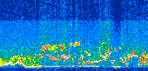 /calipso-imagery/data/BROWSE/production/V5-00/2013-07-11/2013-07-11_08-54-29_V5.00_3_thmb.png image missing