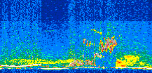/calipso-imagery/data/BROWSE/production/V5-00/2013-07-11/2013-07-11_13-51-09_V5.00_2_thmb.png image missing