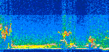 /calipso-imagery/data/BROWSE/production/V5-00/2013-07-11/2013-07-11_18-47-50_V5.00_3_thmb.png image missing