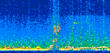 /calipso-imagery/data/BROWSE/production/V5-00/2013-07-11/2013-07-11_22-05-35_V5.00_2_thmb.png image missing