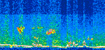 /calipso-imagery/data/BROWSE/production/V5-00/2013-07-11/2013-07-11_22-05-35_V5.00_3_thmb.png image missing