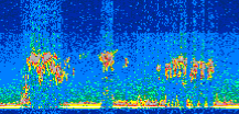 /calipso-imagery/data/BROWSE/production/V5-00/2013-07-12/2013-07-12_01-23-21_V5.00_2_thmb.png image missing