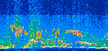 /calipso-imagery/data/BROWSE/production/V5-00/2013-07-12/2013-07-12_04-41-06_V5.00_3_thmb.png image missing