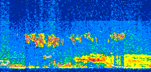 /calipso-imagery/data/BROWSE/production/V5-00/2013-07-12/2013-07-12_09-37-42_V5.00_2_thmb.png image missing