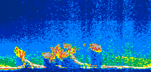 /calipso-imagery/data/BROWSE/production/V5-00/2013-07-12/2013-07-12_12-55-27_V5.00_1_thmb.png image missing