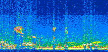 /calipso-imagery/data/BROWSE/production/V5-00/2013-07-12/2013-07-12_16-13-13_V5.00_2_thmb.png image missing