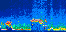 /calipso-imagery/data/BROWSE/production/V5-00/2013-07-12/2013-07-12_21-09-53_V5.00_1_thmb.png image missing