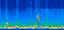 /calipso-imagery/data/BROWSE/production/V5-00/2013-07-12/2013-07-12_22-48-49_V5.00_2_thmb.png image missing