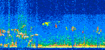 /calipso-imagery/data/BROWSE/production/V5-00/2013-07-29/2013-07-29_02-05-20_V5.00_2_thmb.png image missing