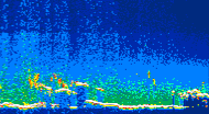 /calipso-imagery/data/BROWSE/production/V5-00/2013-07-29/2013-07-29_03-44-10_V5.00_4_thmb.png image missing