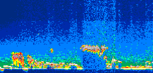 /calipso-imagery/data/BROWSE/production/V5-00/2013-07-29/2013-07-29_10-19-41_V5.00_1_thmb.png image missing