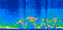 /calipso-imagery/data/BROWSE/production/V5-00/2013-07-29/2013-07-29_11-58-31_V5.00_3_thmb.png image missing