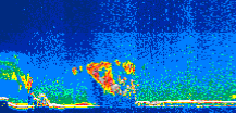 /calipso-imagery/data/BROWSE/production/V5-00/2013-07-29/2013-07-29_13-37-26_V5.00_1_thmb.png image missing