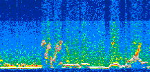 /calipso-imagery/data/BROWSE/production/V5-00/2013-07-29/2013-07-29_15-16-16_V5.00_3_thmb.png image missing