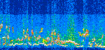 /calipso-imagery/data/BROWSE/production/V5-00/2013-07-29/2013-07-29_20-12-57_V5.00_3_thmb.png image missing