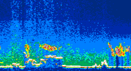 /calipso-imagery/data/BROWSE/production/V5-00/2013-08-01/2013-08-01_04-14-49_V5.00_4_thmb.png image missing