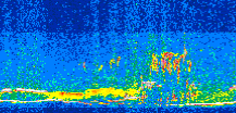 /calipso-imagery/data/BROWSE/production/V5-00/2013-08-01/2013-08-01_12-29-15_V5.00_2_thmb.png image missing