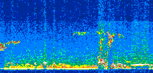 /calipso-imagery/data/BROWSE/production/V5-00/2013-08-01/2013-08-01_22-22-32_V5.00_2_thmb.png image missing