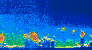 /calipso-imagery/data/BROWSE/production/V5-00/2013-08-02/2013-08-02_00-01-27_V5.00_4_thmb.png image missing