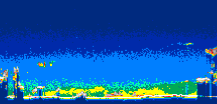 /calipso-imagery/data/BROWSE/production/V5-00/2013-08-02/2013-08-02_00-53-42_V5.00_1_thmb.png image missing