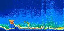 /calipso-imagery/data/BROWSE/production/V5-00/2013-08-02/2013-08-02_06-36-53_V5.00_1_thmb.png image missing