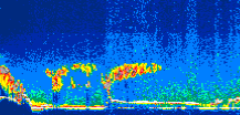 /calipso-imagery/data/BROWSE/production/V5-00/2013-08-02/2013-08-02_11-33-33_V5.00_1_thmb.png image missing